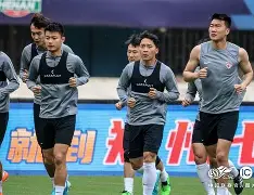  南城鲸鲨队鏖战庐州黑豹队，橄榄球小组赛失利，核心复出即建功。冲刺阶段不容有失